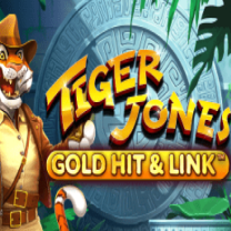 Gold Hit & Link: Tiger Jones