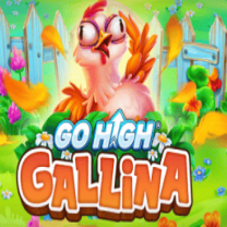 Go High Gallina