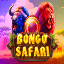 Bongo Safari