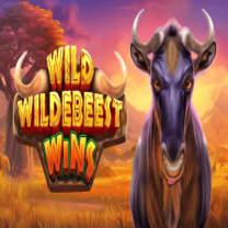 Wild Wildebeest Wins