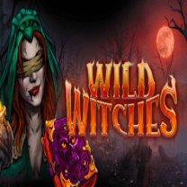 Wild Witches