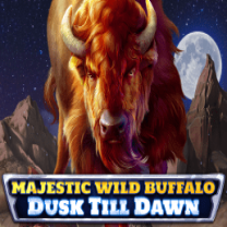 Majestic Wild Buffalo - Dusk Till Dawn