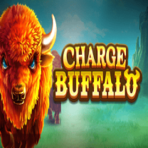 Charge Buffalo ASCENT