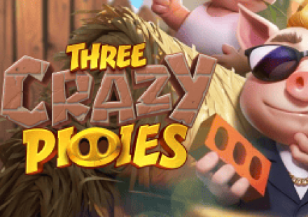 Three Crazy Piggies