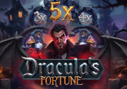 Bruce Bet Casino: Play Online | Bonus up to € 2,000