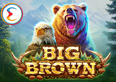 Bruce Bet Casino: Play Online | Bonus up to € 2,000