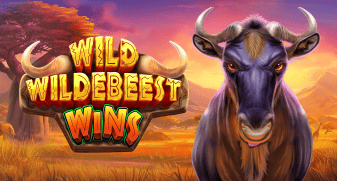 Wild Wildebeest Wins