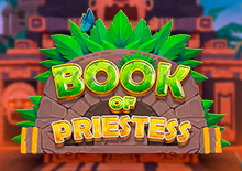 Book Of The Priestess