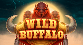 Wild Buffalo