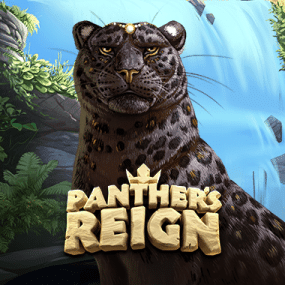Panther's Reign