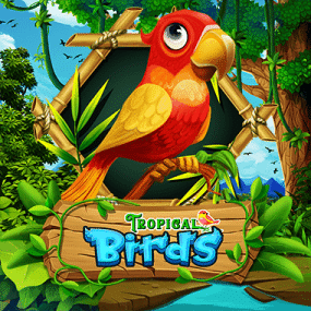 Tropical Birds