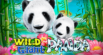 Wild Giant Panda