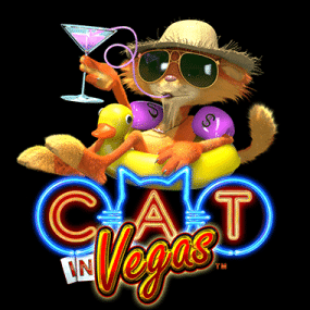 Cat in Vegas