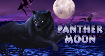 Panther Moon