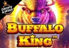 Buffalo King