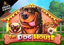 The Dog House