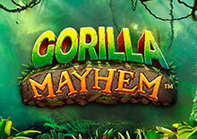 Gorilla Mayhem