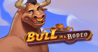 Bull in a Rodeo