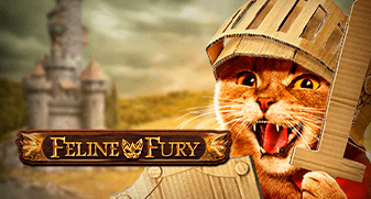 Feline Fury