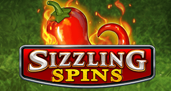 Sizzling Spins