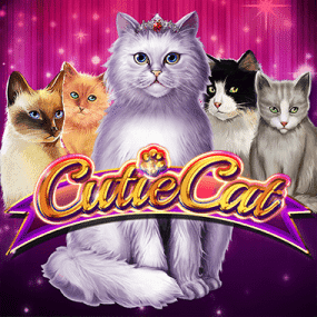 Cutie Cat