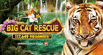 Big Cat Rescue MegaWays