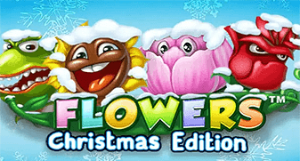 Flowers Christmas Edition